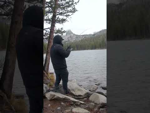Best Rainbow trout bait of the year | Trout fishing #shorts
