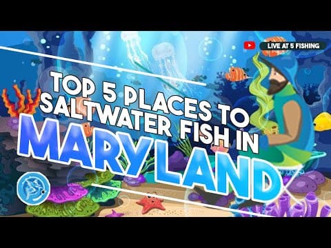 Top 5 Places to Saltwater Fish in Maryland