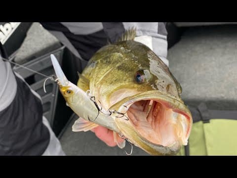 THIS Is Why Your Jerkbait Bass Are Only Getting The Back Hook…