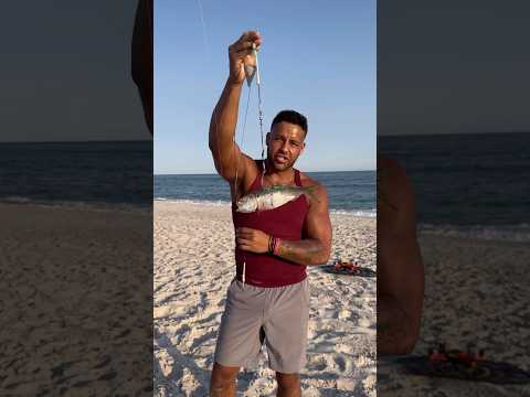 🦈How to catch a shark🦈 #fishing #shark #sharkfishing #fish #newyork #longisland #sharks #lbsf
