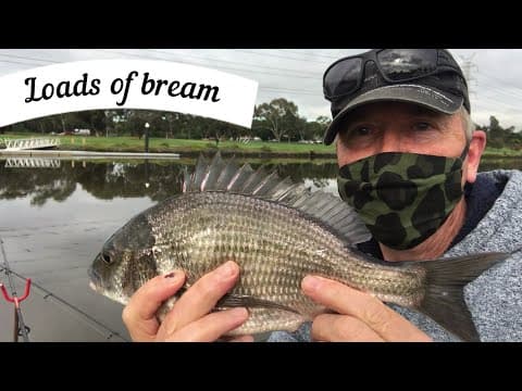 I caught loads of bream  Maribyrnong River fishing