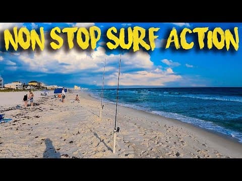 Surf Fishing Panama City Beach for POMPANO, REDFISH and SHARKS!