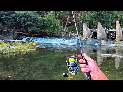 This Roadside Creek is LOADED!!