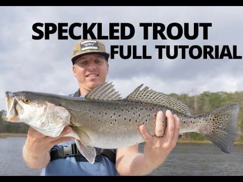 HOW TO CATCH SPECKLED TROUT (Sea Trout) - TUTORIAL and EVERYTHING TO KNOW