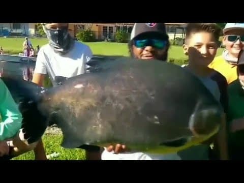PIRANHA CAUGHT IN MIAMI