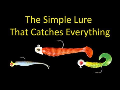 The Simple Lure that Catches Everything - Soft Plastics Fishing