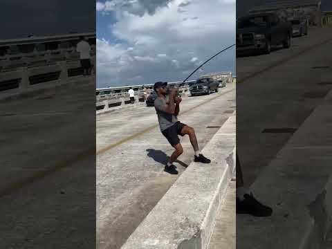 TUG OF WAR with a 33in Gag Grouper!! (Skyway Fishing Pier )