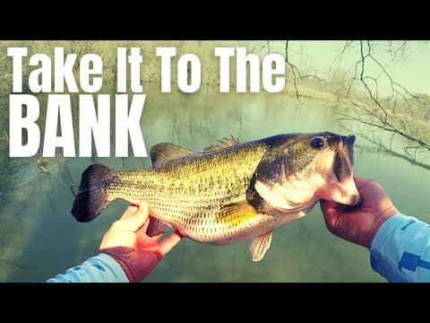 20 Yrs Of BANK FISHING For BASS Simplified In 3 EASY TIPS (Catching A Giant Fishing A New Pond)