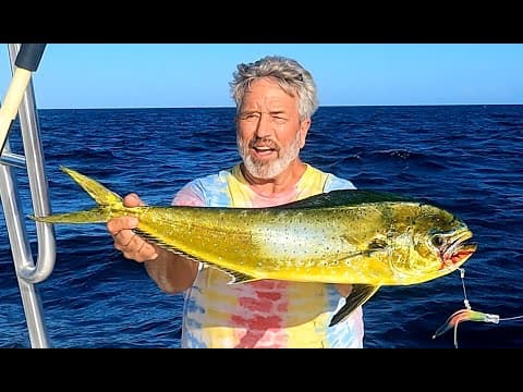Key Largo Florida Dolphin Fishing Trolling for Mahi-Mahi 450&#39; of Water