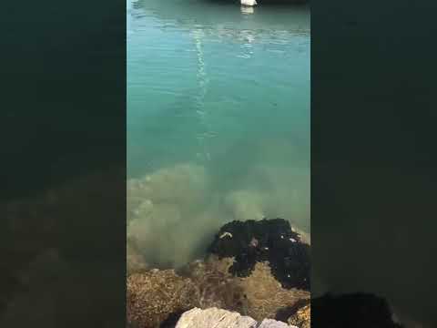 Gaeta, Italy port and pier