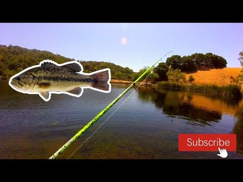 FISHING BORONDA LAKE IN PALO ALTO CALIFORNIA (part 3)