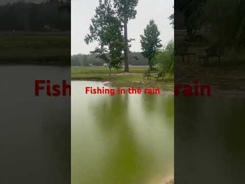A weird day of fishing 63 degrees and rainy