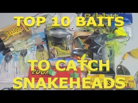 Snakehead Fishing Top Ten Baits . How to Catch Bigger and More Snakeheads . Tips and Tricks .