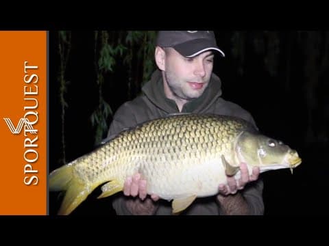 Carp Fishing at Neverland Old Lake, Hungary 🐟