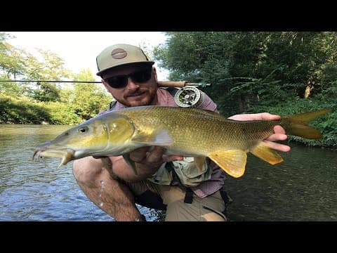 Barbel fly fishing in France