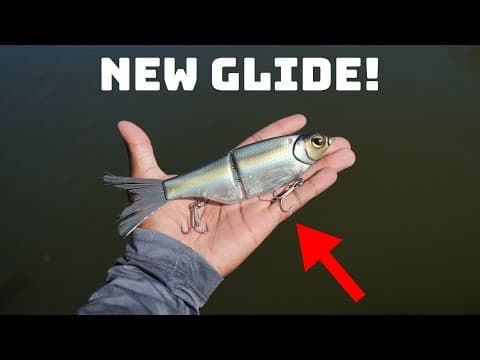 The Best Affordable New Glide Bait On The Market? Spro X KGB Chad Shad!