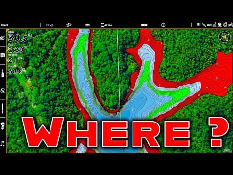 Post Spawn Transition: Where Do Bass Go And How To Catch Them! (Advanced Bass Fishing)