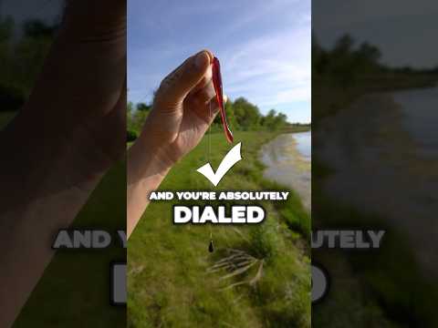 The ONLY Rig That Works for Brutal Summer Bass Fishing (Guaranteed Bites) #fishing