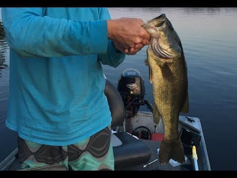 Chickahominy Lake Fishing - Overview and Tips