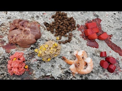 Best Catfish Baits from Grocery Store - Fishing for Catfish &amp; Carp in Texas