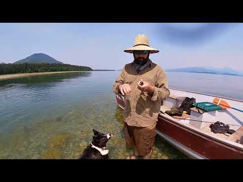Southern Alaska Sea Run Dolly Varden Fishing