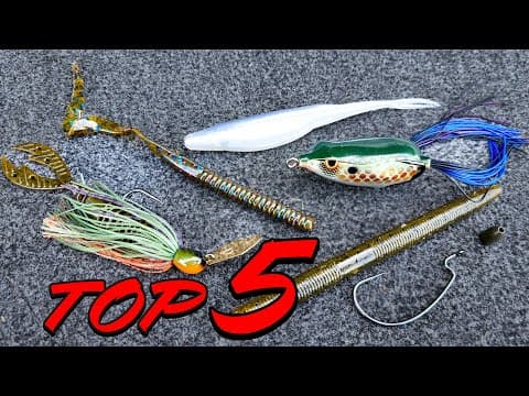 TOP 5 Baits For POND FISHING And BANK FISHING (And How To Fish Them)