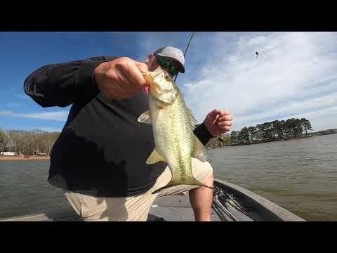 Logan martin bass fishing late March