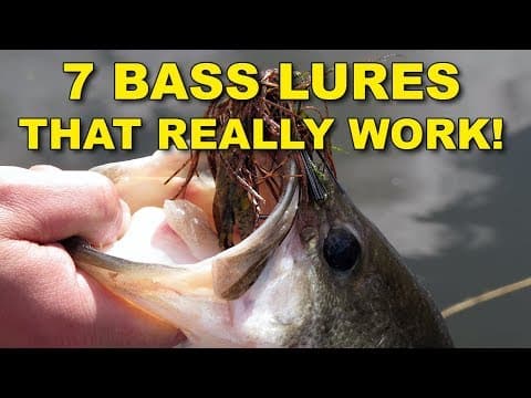 7 Best Bass Lures That Work Year Round | Bass Fishing