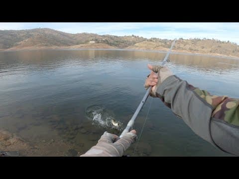 Skyharbor + Bonus &quot;GIANT&quot; Striper footage | Millerton Lake