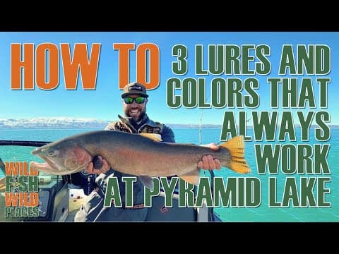 3 lures and colors that ALWAYS work at Pyramid Lake