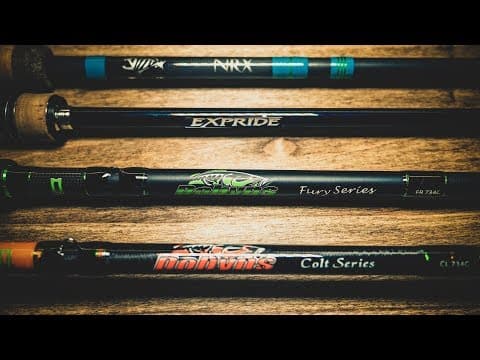 Cheap Vs. Expensive - Best Fishing Rods