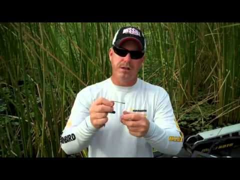 Rigging the Missile Baits D-Bomb