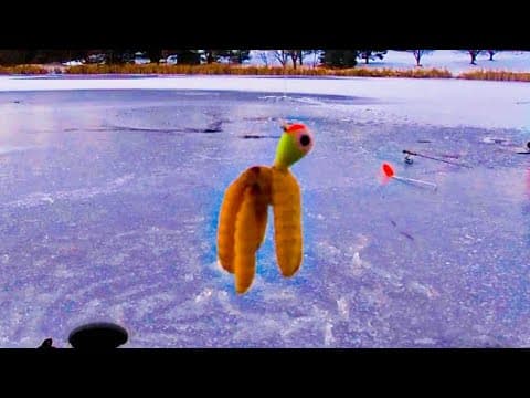 ICE FISHING for BIG Multi-species FISH in URBAN POND!! (New PB!!!)