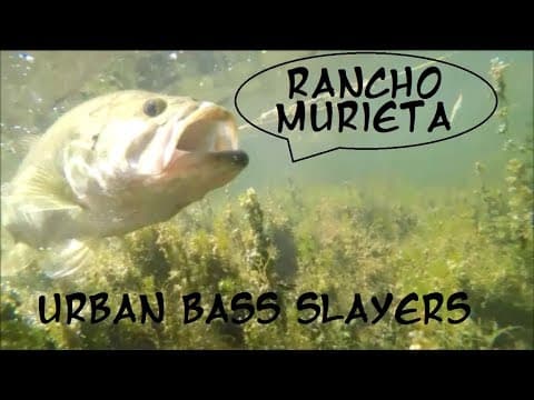 Rancho Murieta part three..