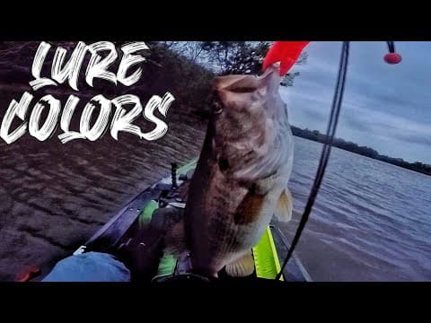 Top 5 Lure Colors For Summer Bass