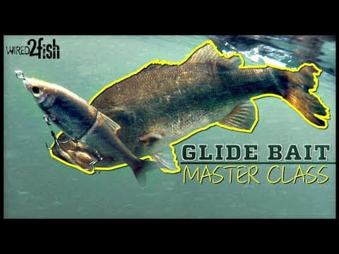 Glide Bait Bass Fishing 🐟 | Everything You Need to Know ‼️