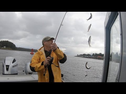 How To: Catch Nonstop Herring!