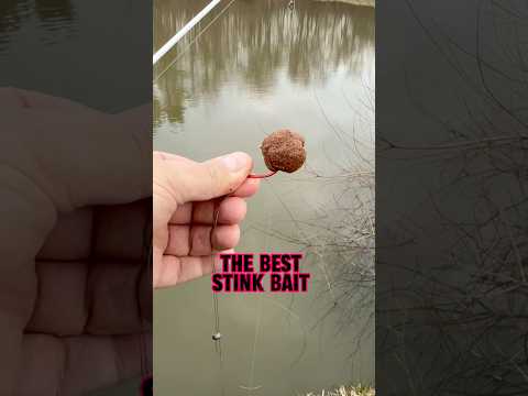 Here’s The BEST Stink Bait For Catfish!! 🎣🫢 #shorts #fishing #catfish #catfishing