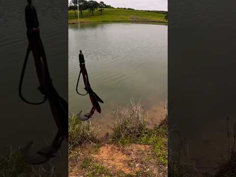 How To Catch A Bass Off A Bed!
