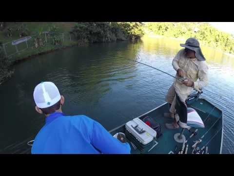 Fishing big bass in Puerto Rico, 13 lb in 3 bass.