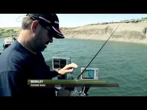 Using Berkley Flicker Shads for Walleye Fishing - Season #8 - HotTopics