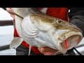 Rhode Island Cod Fishing | S10 E5