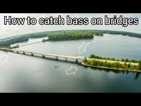 How to catch bass on bridges  (Lake Norman)