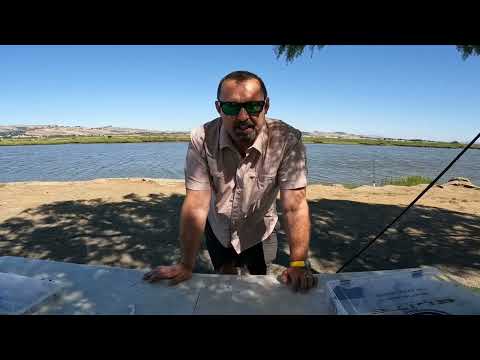 How to Bank Fish for Striped Bass for Beginners