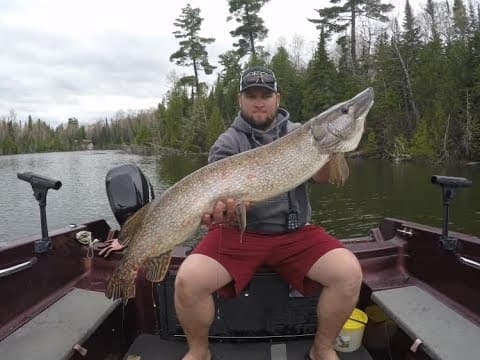 Northern Ontario Spring Pike Fishing Guide