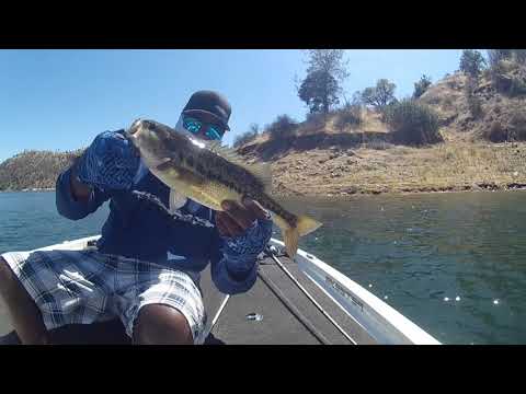 MILLERTON LAKE/CATCHING LARGE AND SPOTTED BASS.