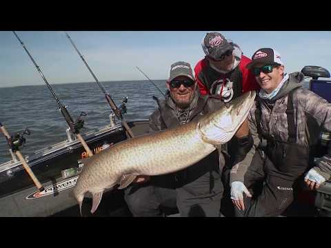 Green Bay Muskie Migration Based on Water Temp