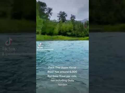 Upper Kenai River. #alaska #fishing #flyfishing #kenai #troutfishing