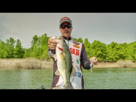 Key Aspects of Spinnerbait Fishing Bass
