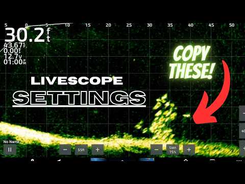 Garmin Livescope Settings to Try! Start with these!